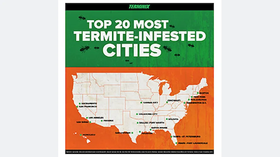 California Cities Top List Of Terminixs 20 Most Termite Ridden Cities