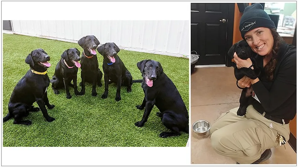 Five Black Diamond Inspection Dogs Earn Certification Pest Control