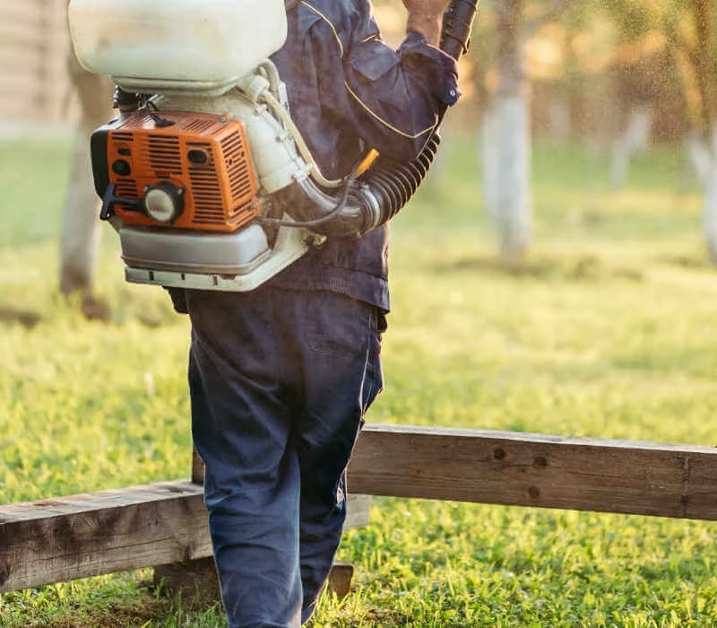 mosquito backpack spraying