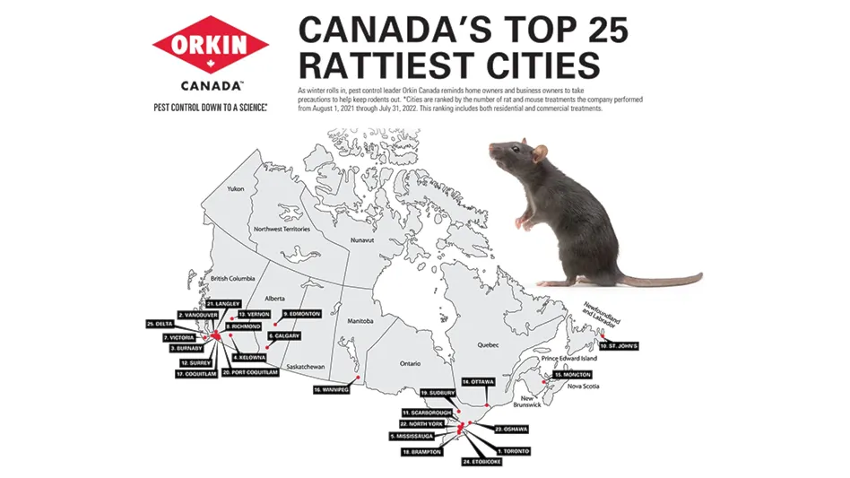 Orkin Names Canada's Rattiest Cities - Pest Control Technology
