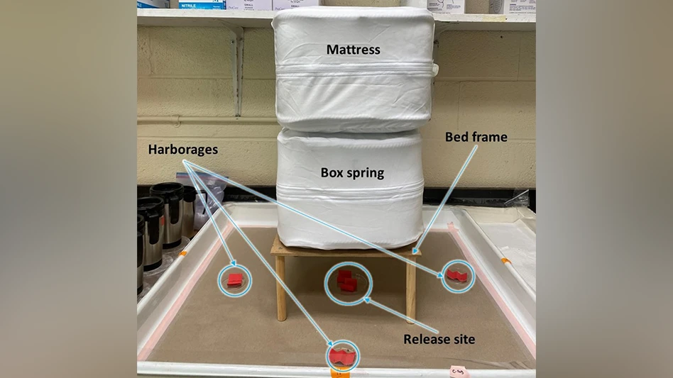 Laboratory setup examining the effect of encasement and type of encasement on bed bug distribution. This image shows an example of fabric encasement installed on mattress and box spring.