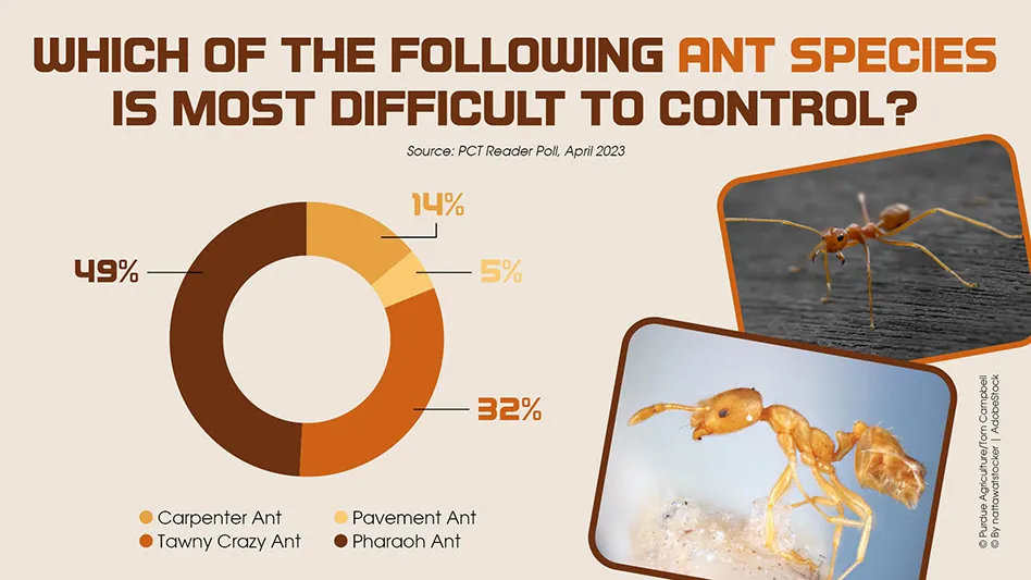 The Ant-Driven Landscape