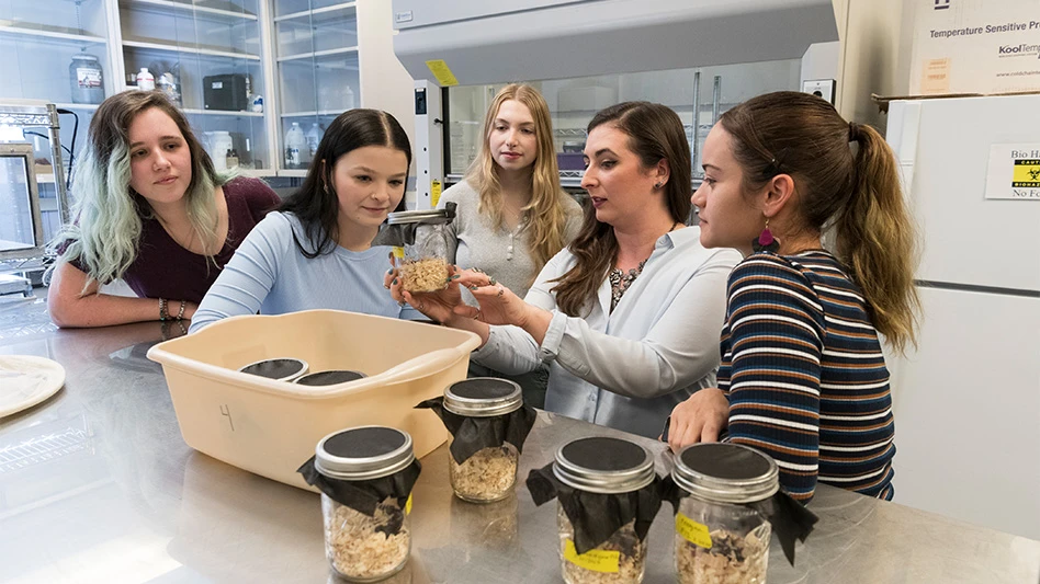 Krystal Hans, assistant professor of forensic entomology at Purdue University’s Department of Entomology, sparked an interest in decomposed insects and outdoor creatures at a young age and hasn’t stopped working with them since.