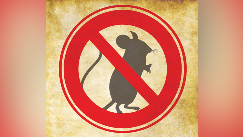 No rats deals