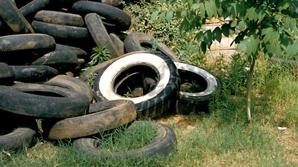 tires conducive mosquito conditions