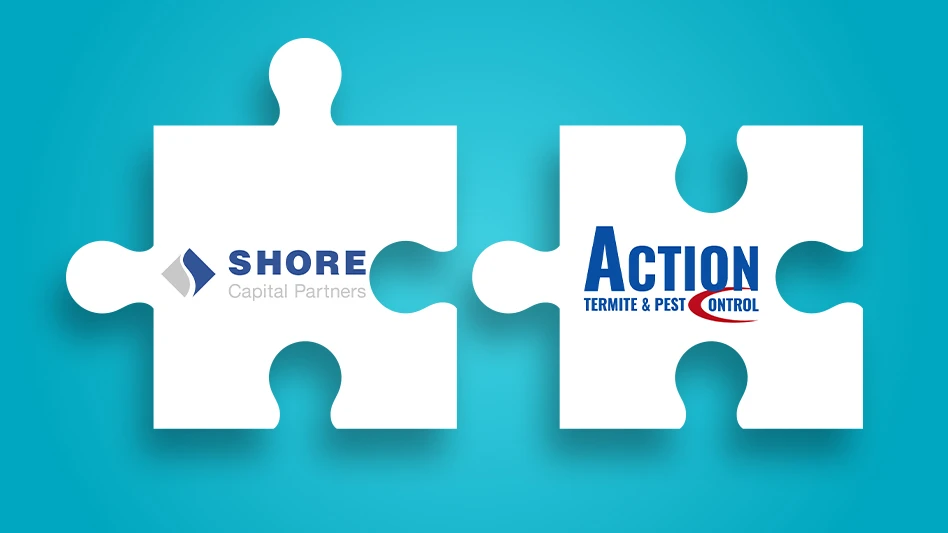 shore capital action termite pest