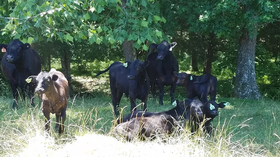 The current state of managing fly pests in livestock reveals a need for better understanding of underlying economics. A group of researchers in veterinary entomology, agricultural economics, and population modeling outline what’s needed to build a transdisciplinary IPM approach for controlling flies in animal production.