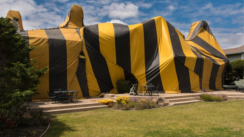 tent fumigation