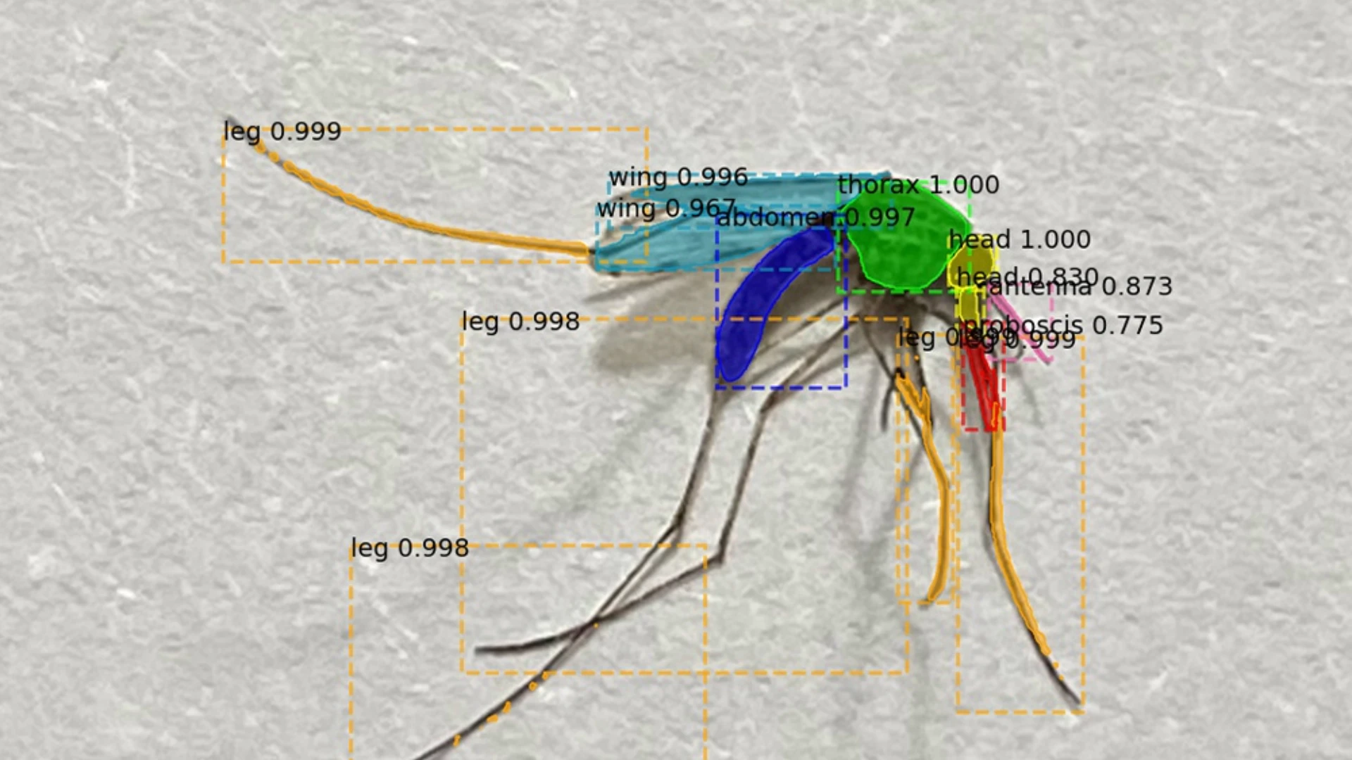 USF Using AI to Help Combat Malaria