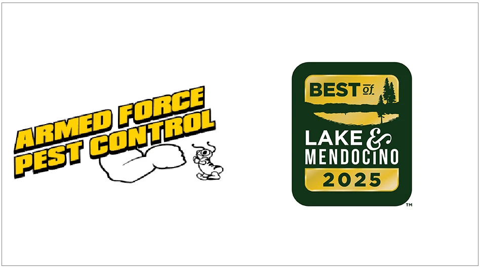 Armed Force Pest Control Wins Best Pest Control and Customer Service